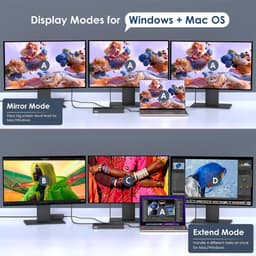 Display Docking Station