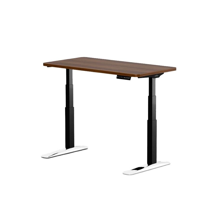 Dual-Motor Electric Standing Desk
