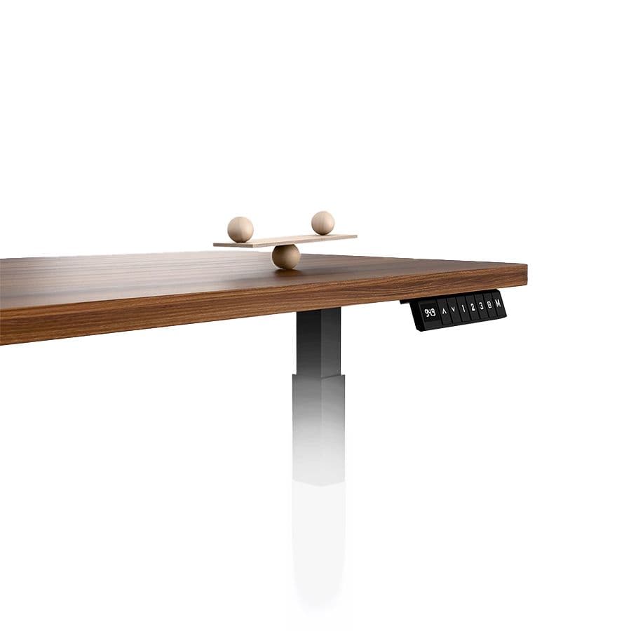 Dual-Motor Electric Standing Desk