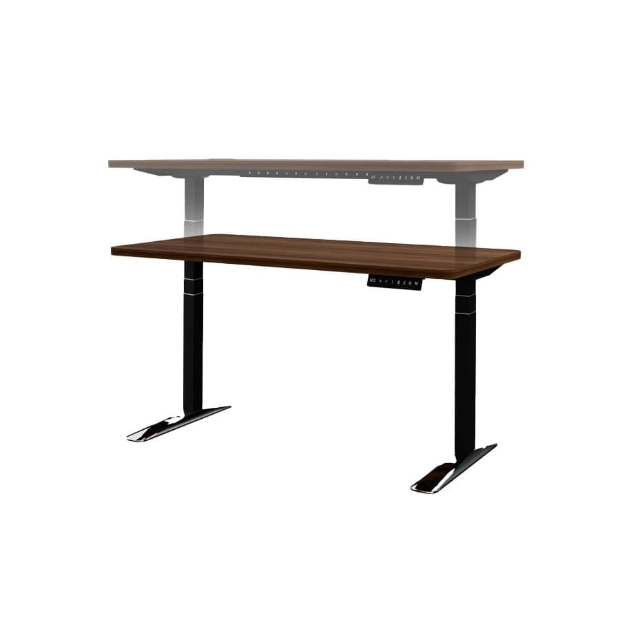 Dual-Motor Electric Standing Desk