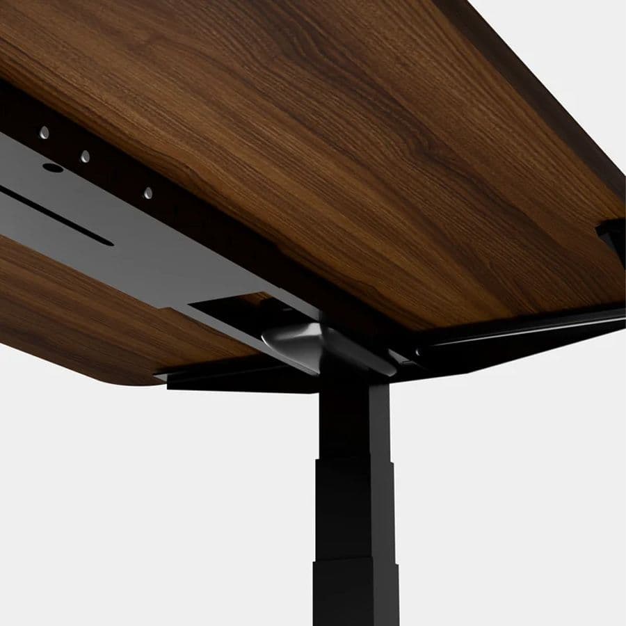 Dual-Motor Electric Standing Desk