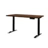 Dual-Motor Electric Standing Desk