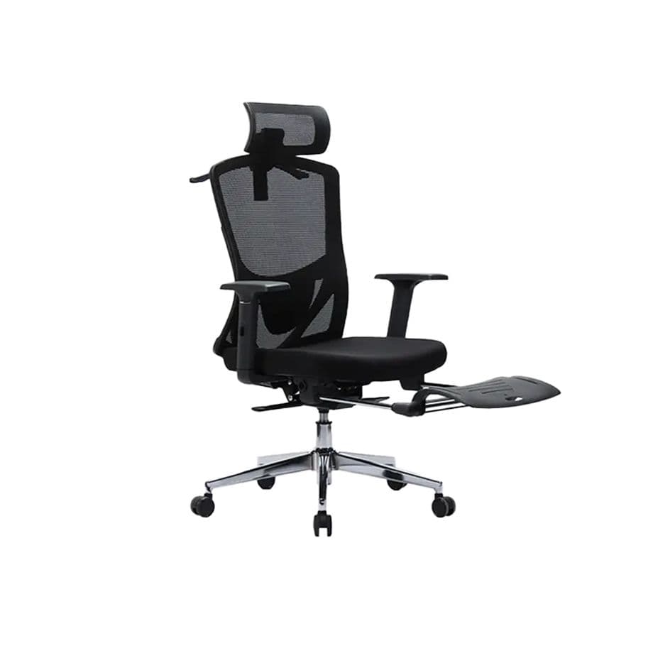 Ergonomic Office Chair